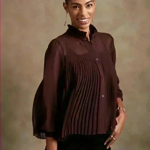 Banana Republic Chiffon Pleated Blouse - Picture 1 of 10
